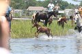 ponypenning_072711_0217