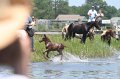 ponypenning_072711_0218