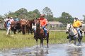 ponypenning_072711_0219