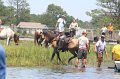 ponypenning_072711_0227