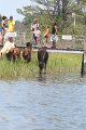ponypenning_072711_0235