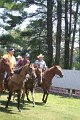 ponypenning_072711_0238