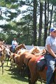 ponypenning_072711_0245