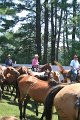 ponypenning_072711_0248