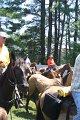 ponypenning_072711_0261