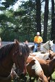 ponypenning_072711_0265