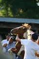 ponypenning_072811_0297