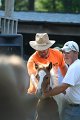 ponypenning_072811_0312