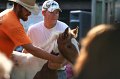 ponypenning_072811_0315