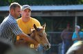 ponypenning_072811_0319
