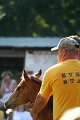 ponypenning_072811_0320