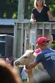 ponypenning_072811_0321