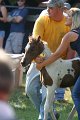 ponypenning_072811_0354