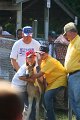 ponypenning_072811_0361
