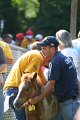 ponypenning_072811_0371