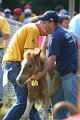 ponypenning_072811_0372