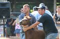ponypenning_072811_0374