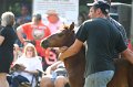 ponypenning_072811_0376