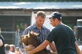 ponypenning_072811_0380