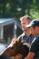 ponypenning_072811_0382
