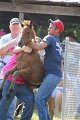 ponypenning_072811_0383