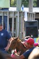 ponypenning_072811_0384