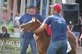 ponypenning_072811_0386