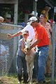 ponypenning_072811_0389