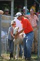 ponypenning_072811_0390