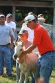 ponypenning_072811_0395