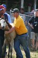ponypenning_072811_0403