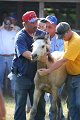 ponypenning_072811_0404