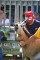 ponypenning_072811_0407