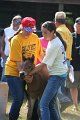 ponypenning_072811_0415