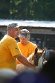 ponypenning_072811_0430