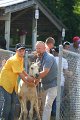 ponypenning_072811_0438