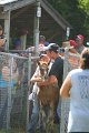 ponypenning_072811_0443