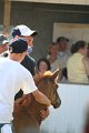 ponypenning_072811_0451