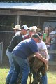 ponypenning_072811_0453