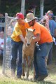 ponypenning_072811_0455