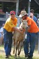 ponypenning_072811_0456