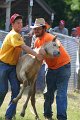 ponypenning_072811_0457