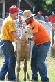 ponypenning_072811_0458