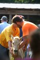 ponypenning_072811_0467