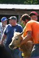 ponypenning_072811_0468