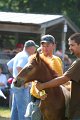 ponypenning_072811_0472