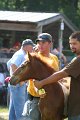 ponypenning_072811_0473