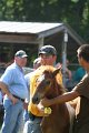 ponypenning_072811_0474