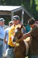 ponypenning_072811_0475