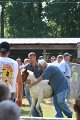 ponypenning_072811_0481